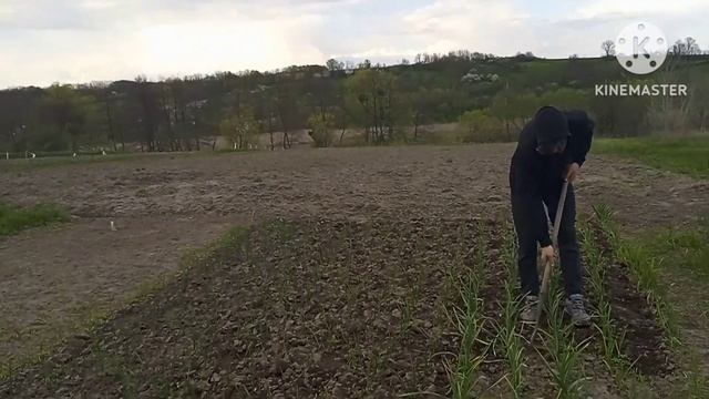 Коли гарний день , тоді й настрій гарний.