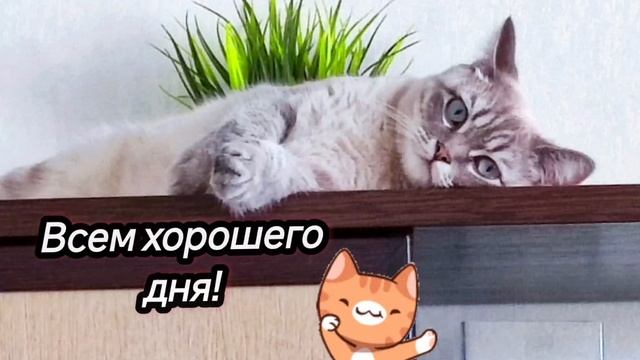 А у вас такое бывает? Всем хорошего настроения!