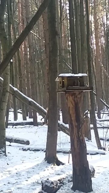 23.2.25