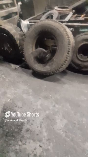 1000038757.mp4Сталкер.23.02.2025г.