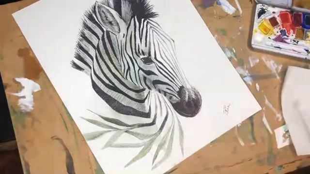 Zebra Art