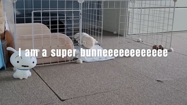 To be Villain  (#bunny )