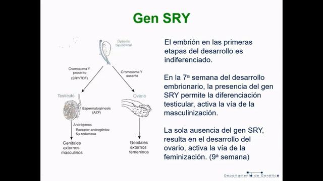 Genética T5A: Herencia ligada al X - Biología Celular y Tisular