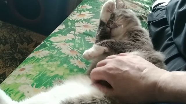Наши ласки
