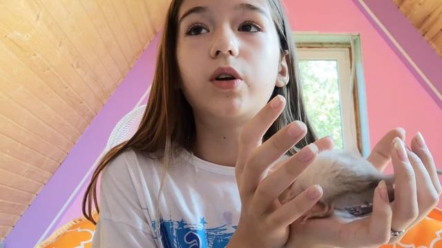 З особенности крыс которые пугают начинающих крысаводов🤫😱😫🐭🐭🐭