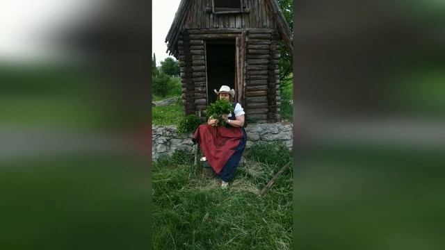 М'ята перцева