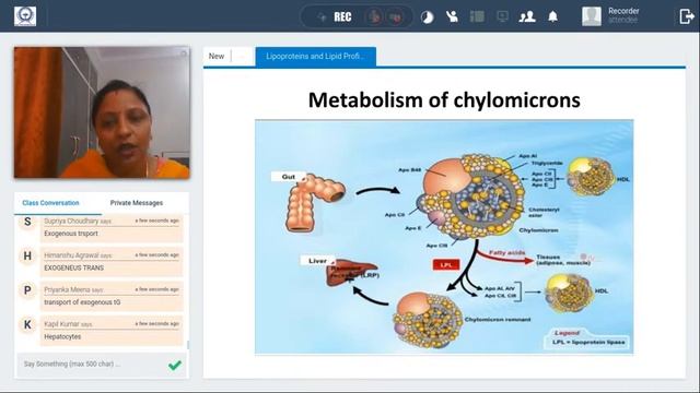 Lipoproteins and  Lipid Profile in Disease Diagnosis