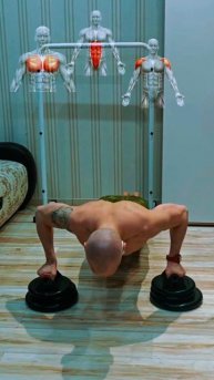 Грудь + плечи + пресс #спорт #nogymworkout #shorts