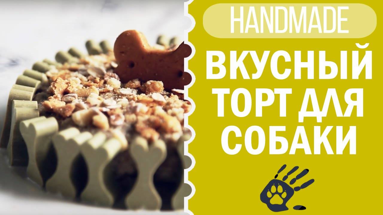 Торт для собаки своими руками — рецепт от Чихуахуа Софи! 🎂🐕