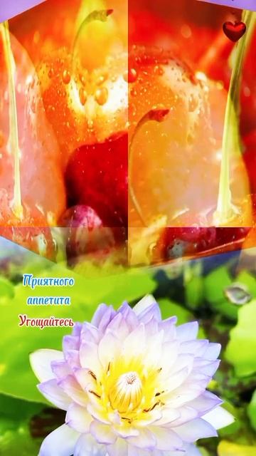 Рост сузлаш жаннатга олиб киради ✨🎋