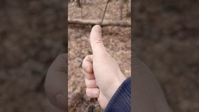 коп в начале февраля