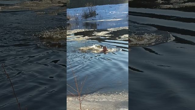 с Праздником !!! 23февраля