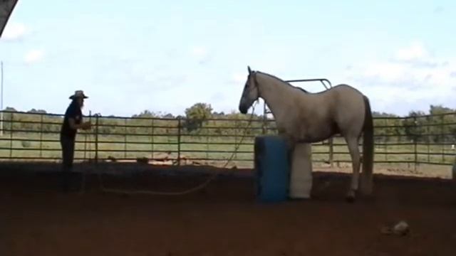 Parelli Audition On Line Level 1 Beth Schuman and Chianti