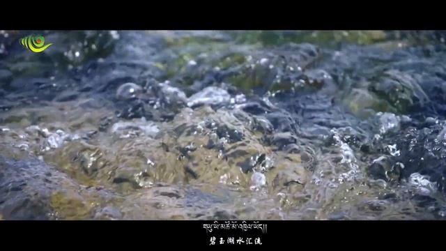 Tashi Delek by Ngudup Dolma New Song དངོས་གྲུབ་སྒྲོལ་མ། བཀྲ་ཤིས་བདེ་ལེགས།