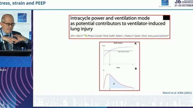 2023 Year in Review Stress, strain and PEEP Davide Chiumello