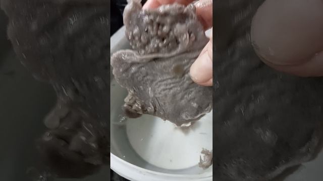 что на Праздник вам летело?