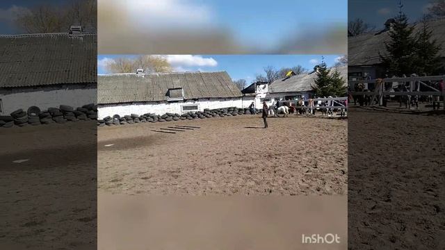 Соревнования КСК Каприоль