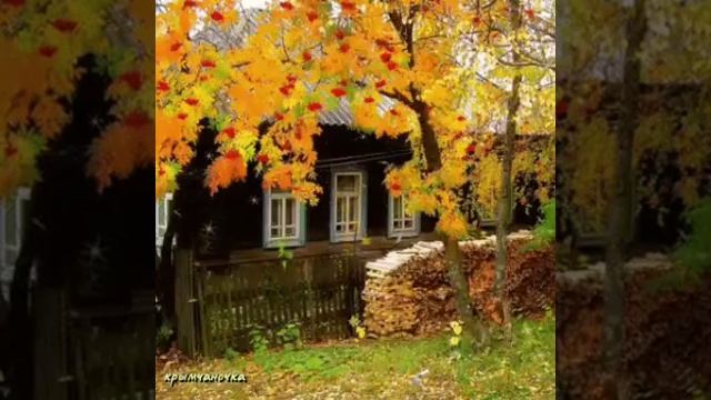 #красивая_мелодия_осени🍁