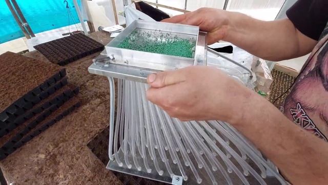 Посев семян капусты в кассеты!!!