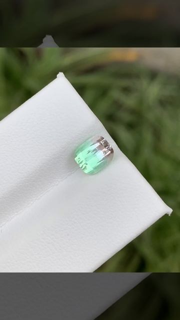 Indicolite Bicolor Loose Tourmaline Gem