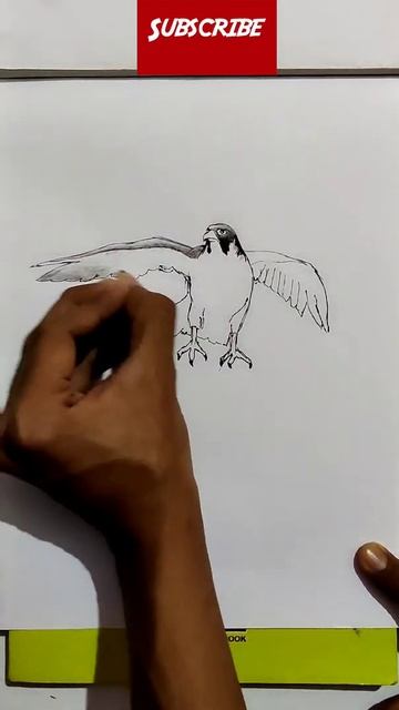 Pen Portrait Sketch of Falcon #falcon #portrait #fanart #shorts