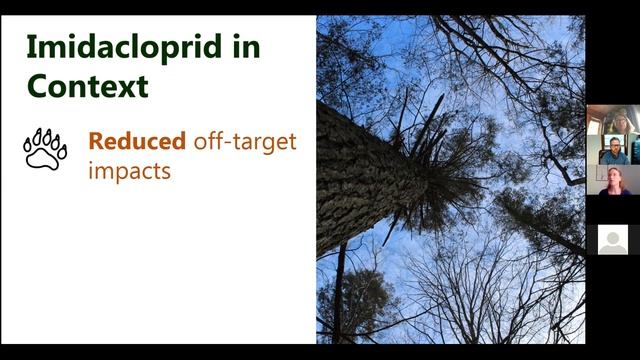 Hemlock Woolly Adelgid in the Catskills: 2020 Update