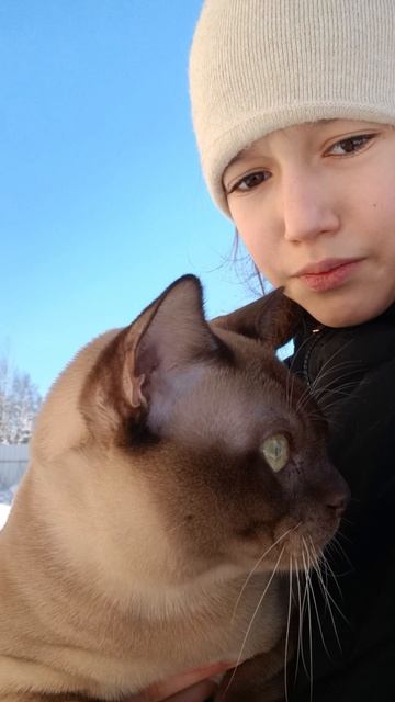 Прогулка с котиком❄#зимой# #бурма#