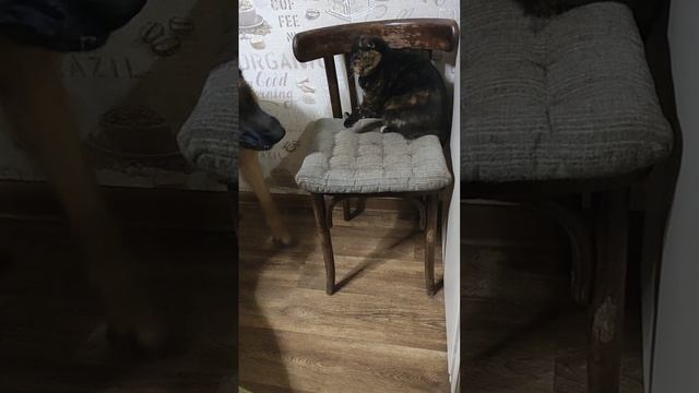 1000115852.mp4
