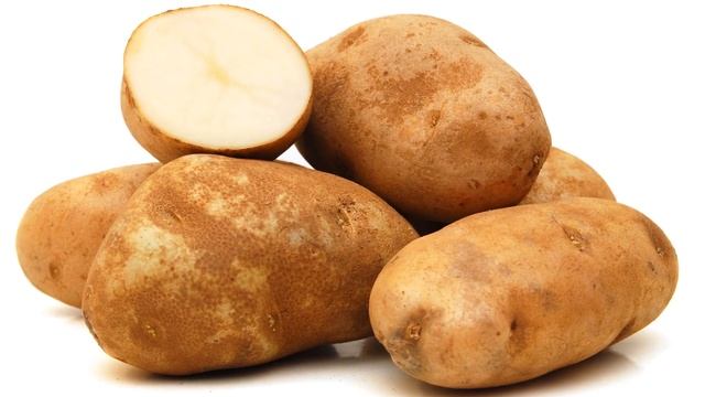 The Most Important Food for Surviving SHTF