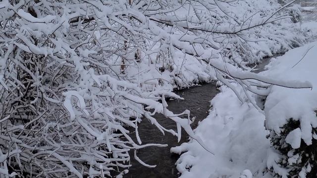 Лесной ручей во время снегопада. Звуки леса.