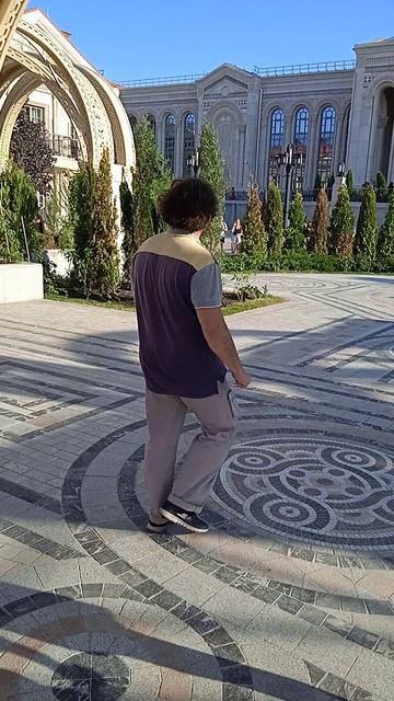 VID_20240804_180443