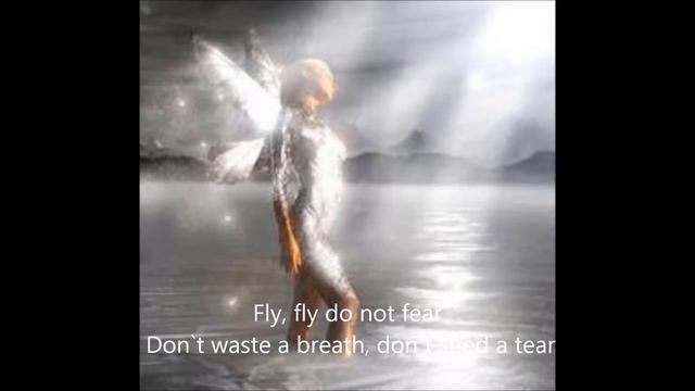 Celine dion 'Fly'