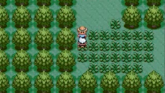 Pokemon Sapphire Walkthrough Part 5: Petalburg Woods