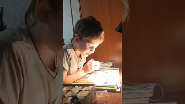 Тигровый глаз