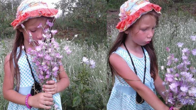 Плейлист "Цветники ароматные" 85 | #цветы #цветочки #цветники #цветник #клумбы #клумба #растения