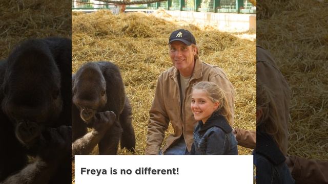 Freya Aspinall And Her Special Connection With Gorillas