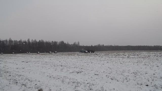 МТЗ 80 рулит!вывоз сена с поля экстрим зима!