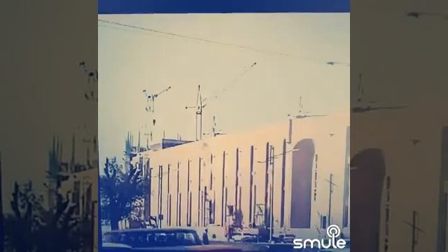 1000087838.mp4