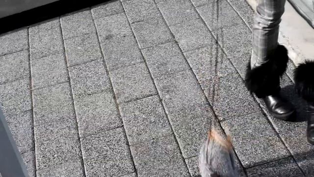Разходка до Пловдив | Бягство от София за един ден.