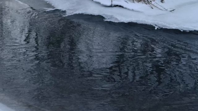 Река Горетовка в окрестностях деревни Середниково.