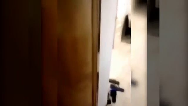 МЕСТЬ