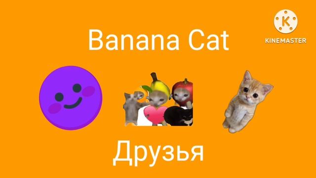 Эмодзи Нет Banana Cat Друзья Эмодзи Нет Banana Cat Друзья Смурфики 5 Сезон 112 Серия