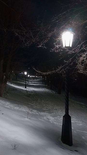 23.02.2025 #сегоднятак #сегодня #природа #nature #oggicosì #бүгін #oggi #hoy #今日 #today #오늘 #자연 #自然