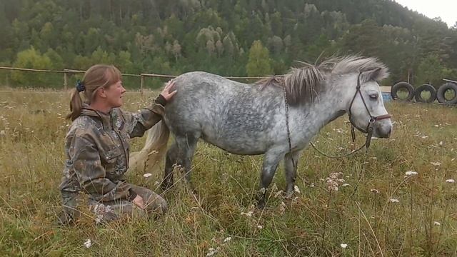 Белла!(3)