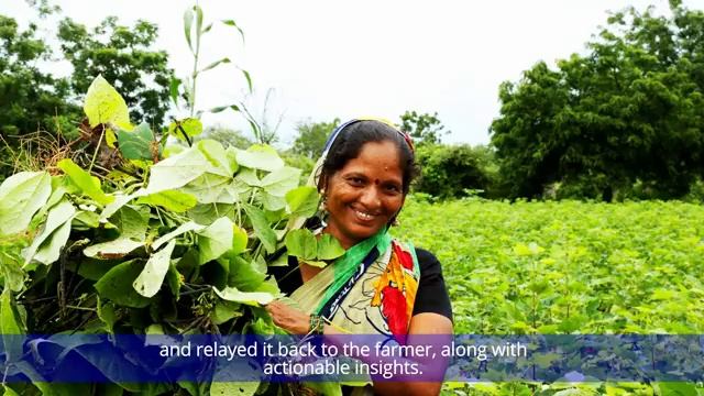 UNDP India AccLab: Leveraging IoT to improve water efficiency in agriculture