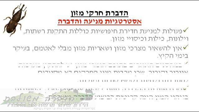 הדברת חרקי מזון