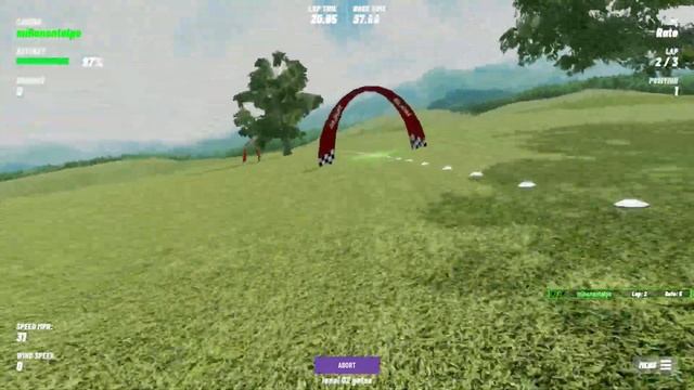 Velocidrone, 11 часов налёта