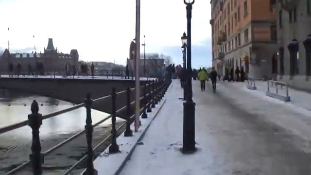 Стокгольм путь зимой мимо львов
