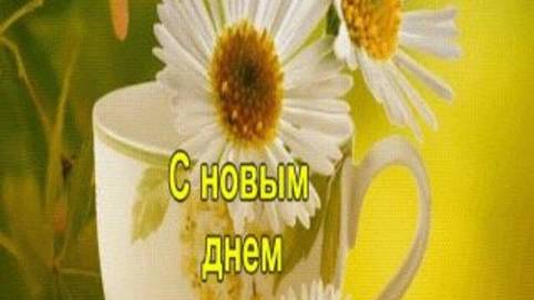 Доброе утро-С новым днем#shorts