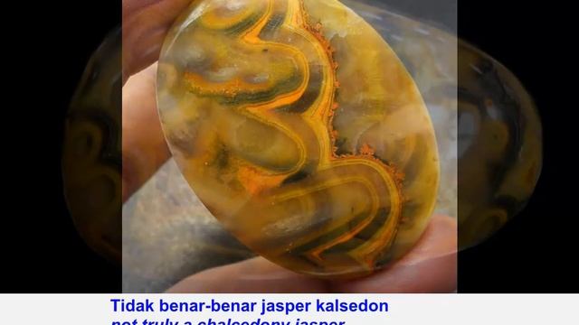 Bumble Bee Jasper / "Lebah Jasper"